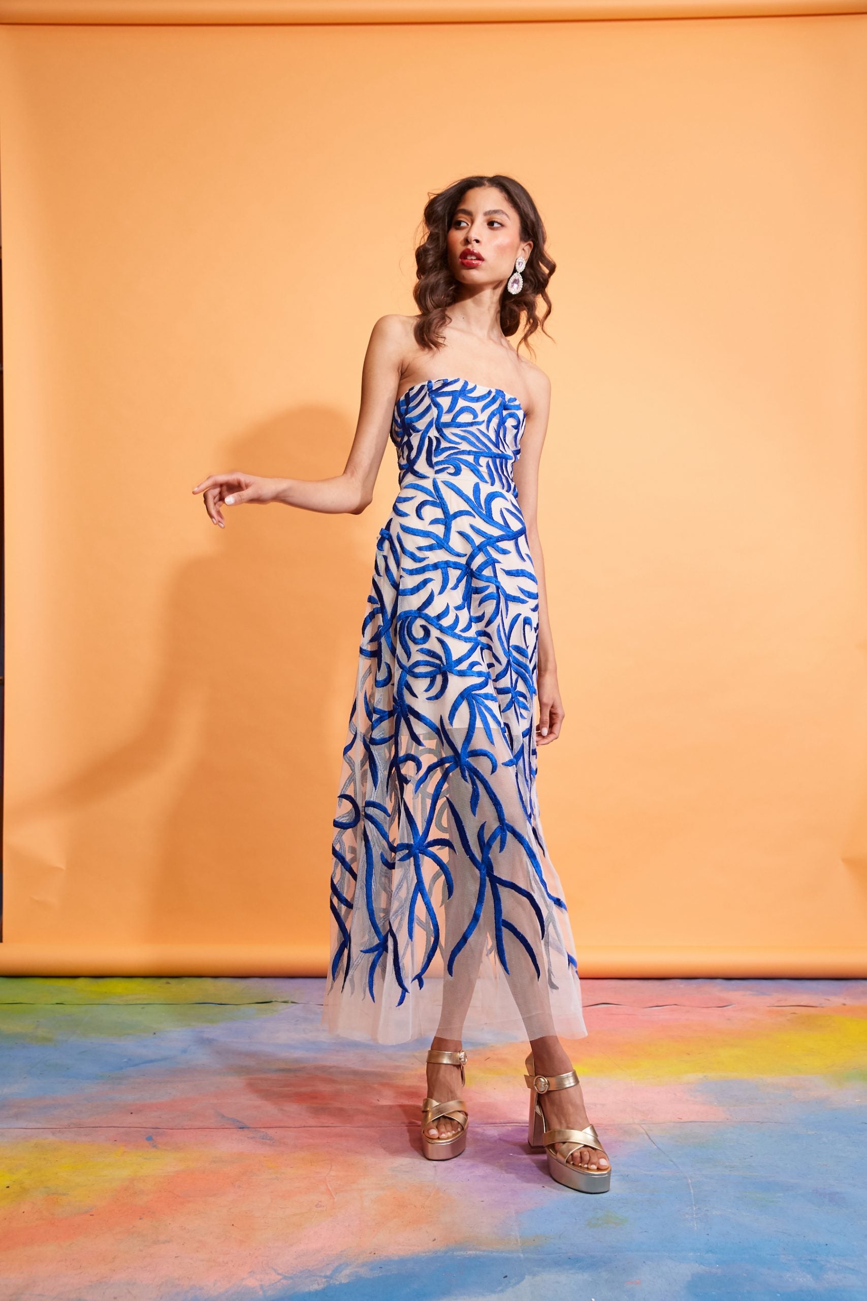 Courtney - Embroidered Vine Motif Tulle Dress